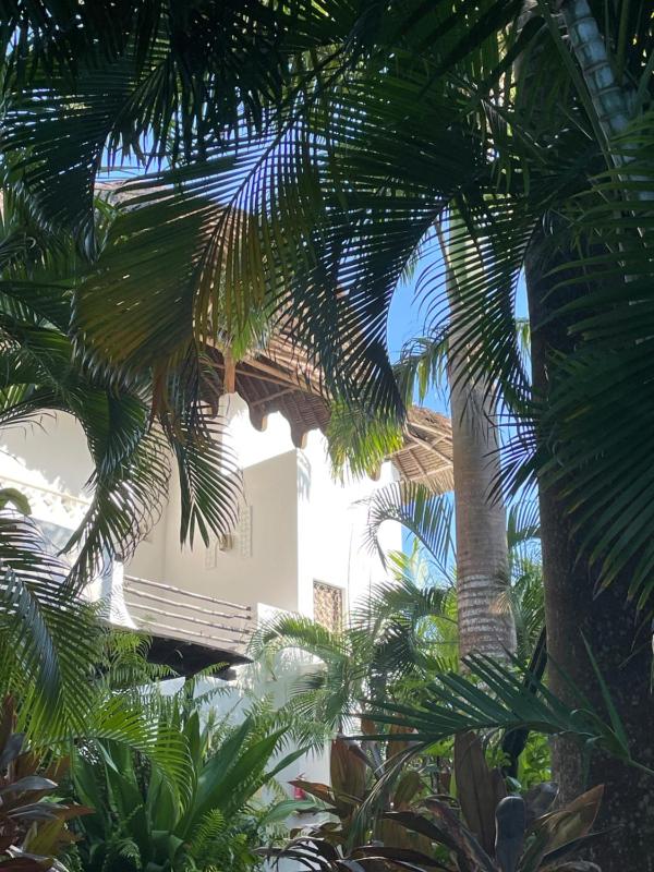 Lamu-style 1 bedroom guesthouse in the center of Diani - image 8