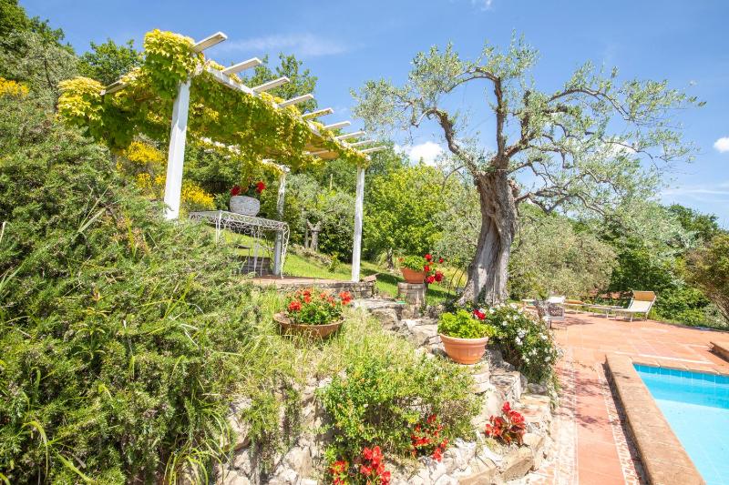 Locanda dell'Angelo - image 20
