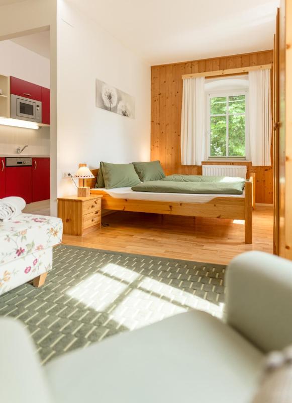 Studio Apartment image 4