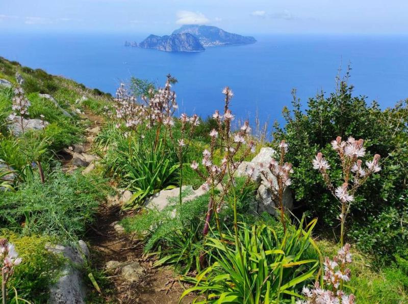 Domus Smeraldo terrace and sea view Amalfi Coast - image 12