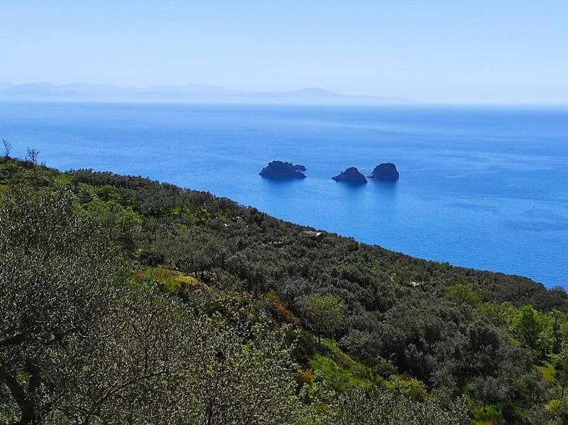 Domus Smeraldo terrace and sea view Amalfi Coast - image 24