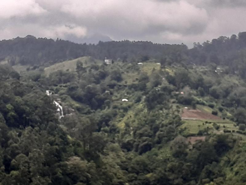 Ella floating view - image 12