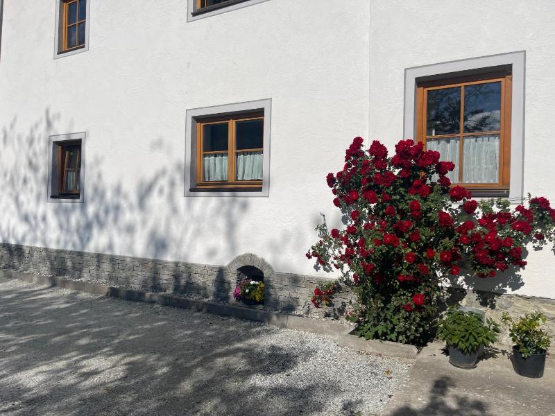 Apartment - Ground Floor image 3