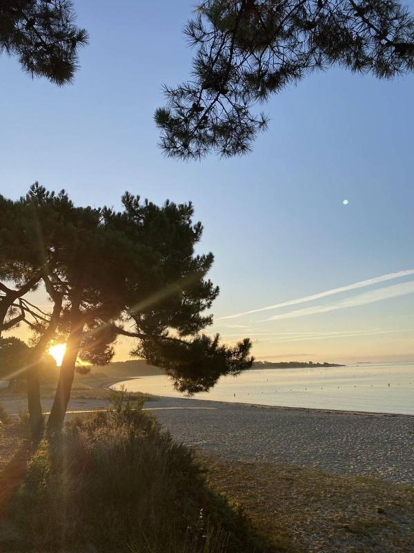 Maison au calme proche plage wifi jardin clos - image 23