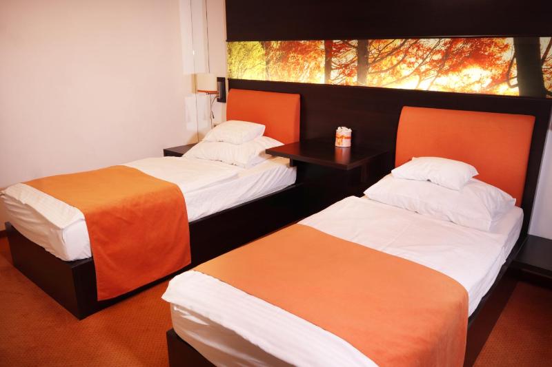 Standard Twin Room image 1