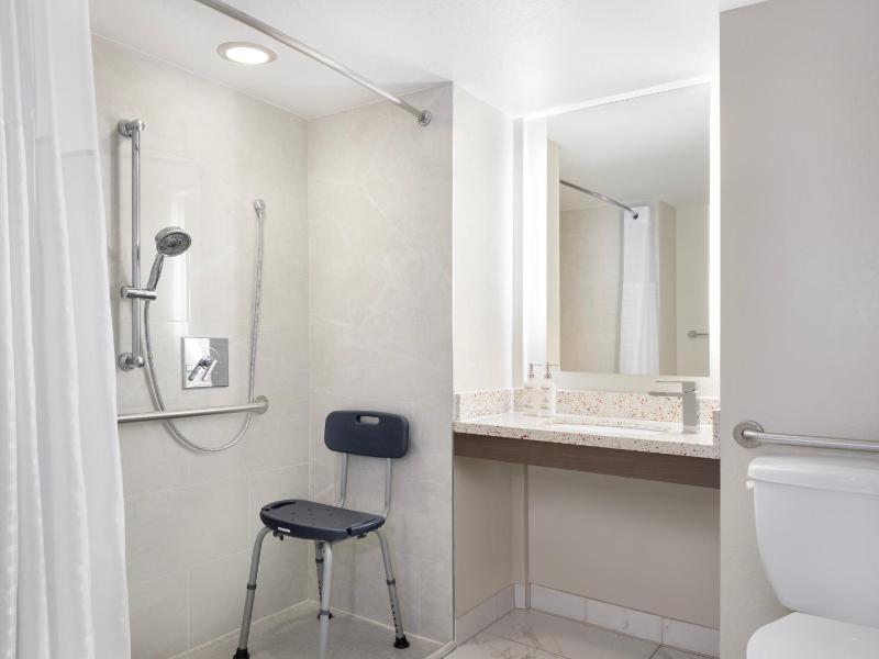 Holiday Inn Resort Orlando Suites - Waterpark By IHG - image 9