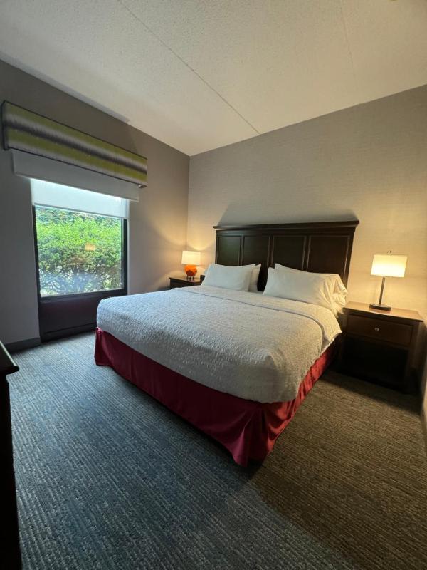 King Room - Mobility Access/Non-Smoking image 4