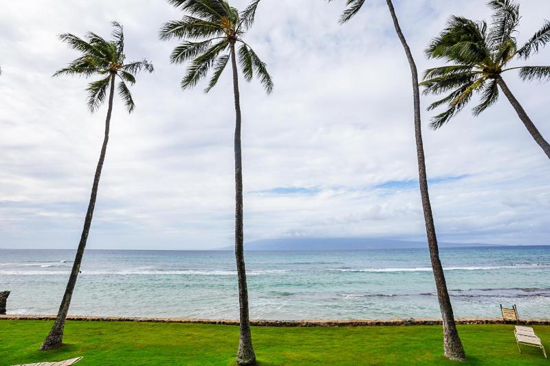 Papakea's Finest Oceanfront - #A-205 - - image 13