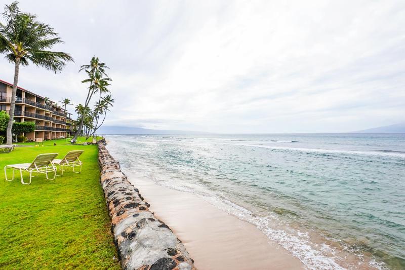 Papakea's Finest Oceanfront - #A-205 - - image 29