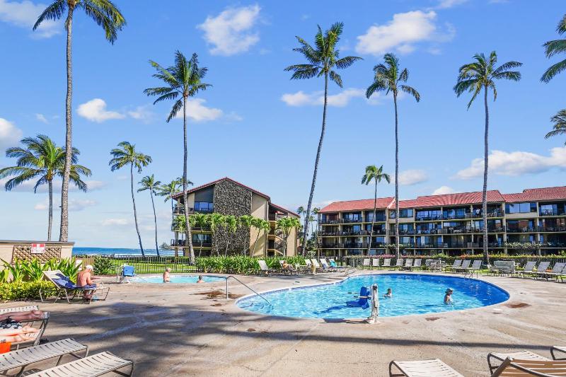 Papakea's Finest Oceanfront - #A-205 - - image 5