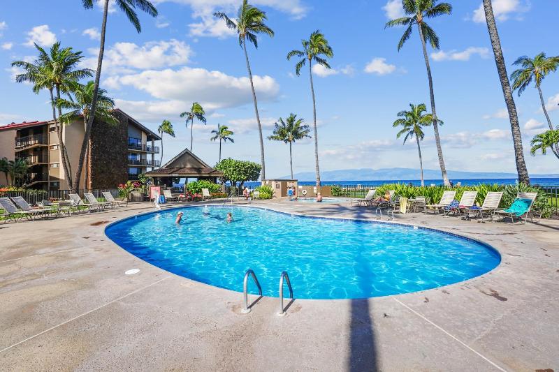 Papakea's Finest Oceanfront - #A-205 - - image 9