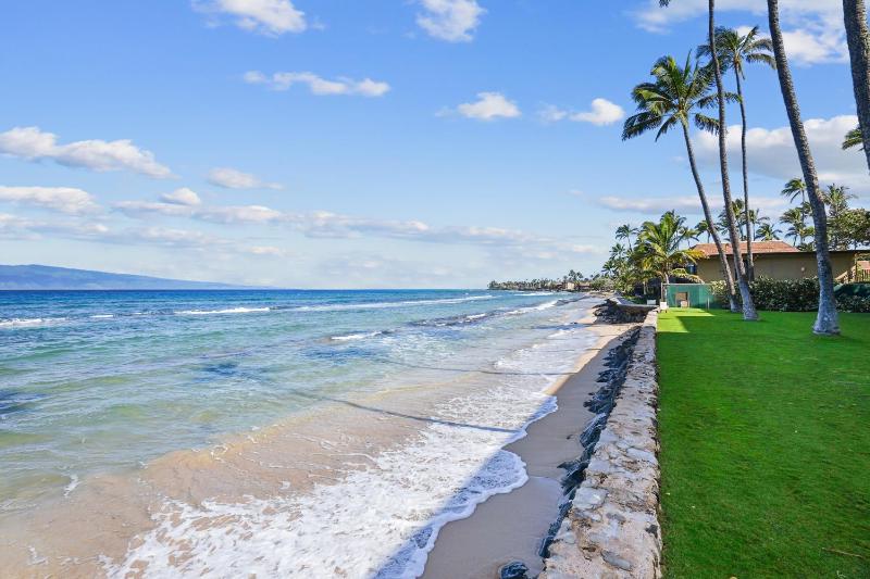 Papakea's Finest Oceanfront - #A-205 - - image 18