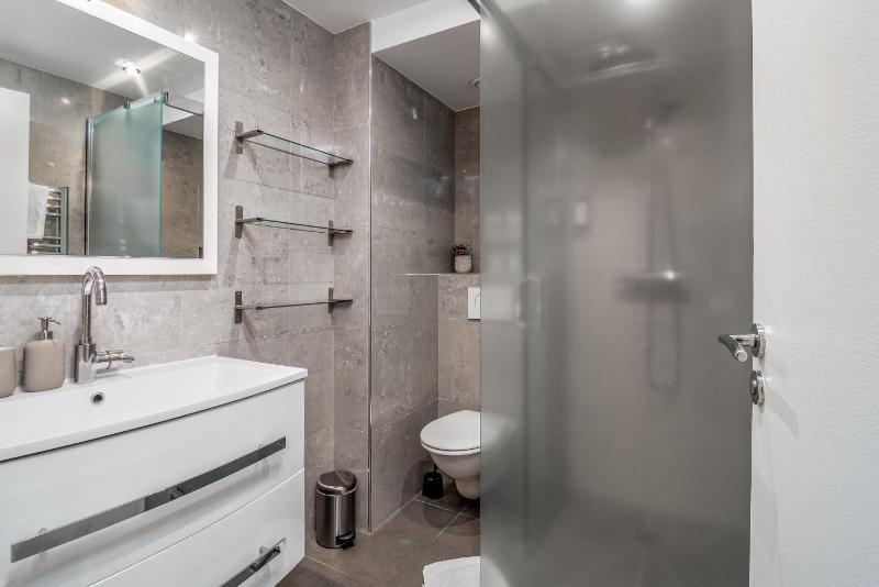 Large One-Bedroom Apartment at 45 image 2