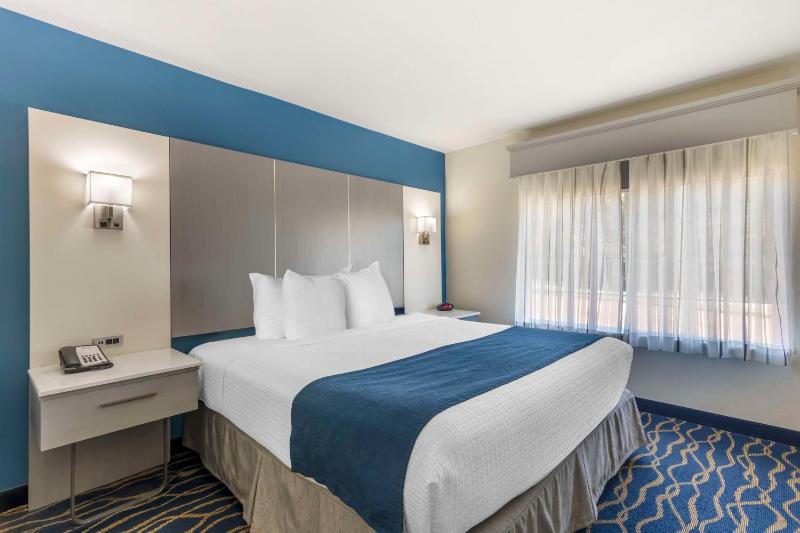 King Suite - Non-Smoking image 4