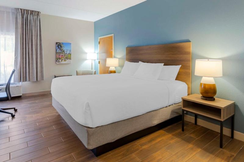 King Room with Roll-in Shower - Mobility/Communication Access/Non-Smoking image 1