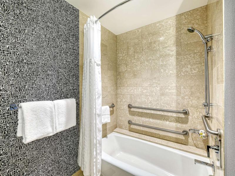 Mobility Accessible Deluxe King with Roll-In Shower image 3