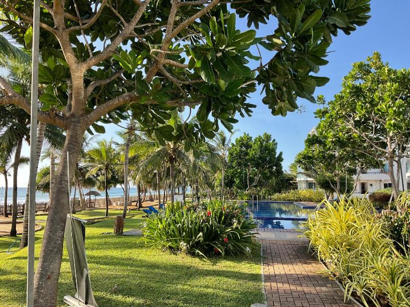 Beach Bliss - image 29