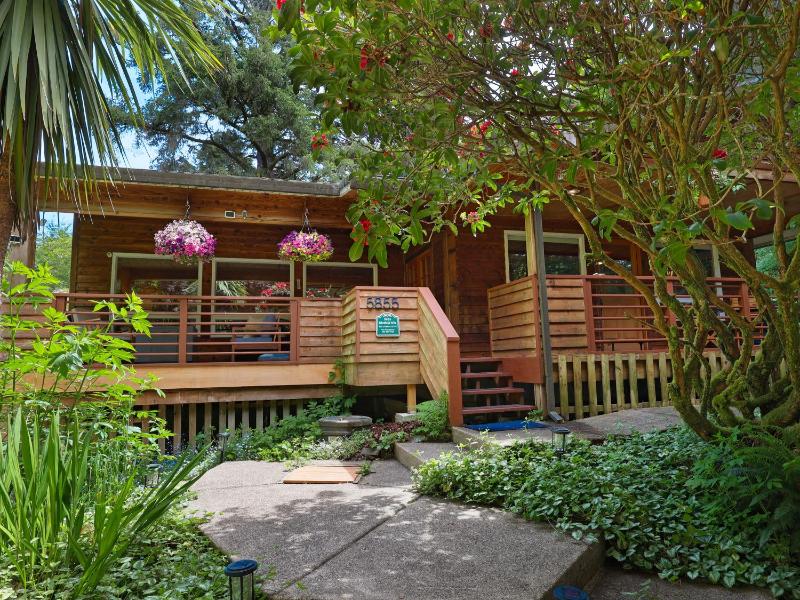 Woods Waves: Luxury Coast Cabin King Beds Pets Images