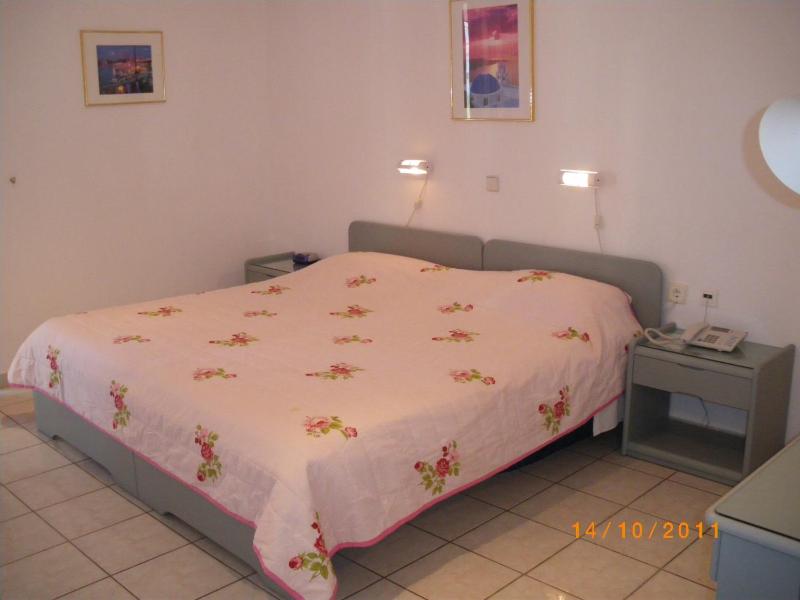 One-Bedroom Apartment (4 Adults) image 4