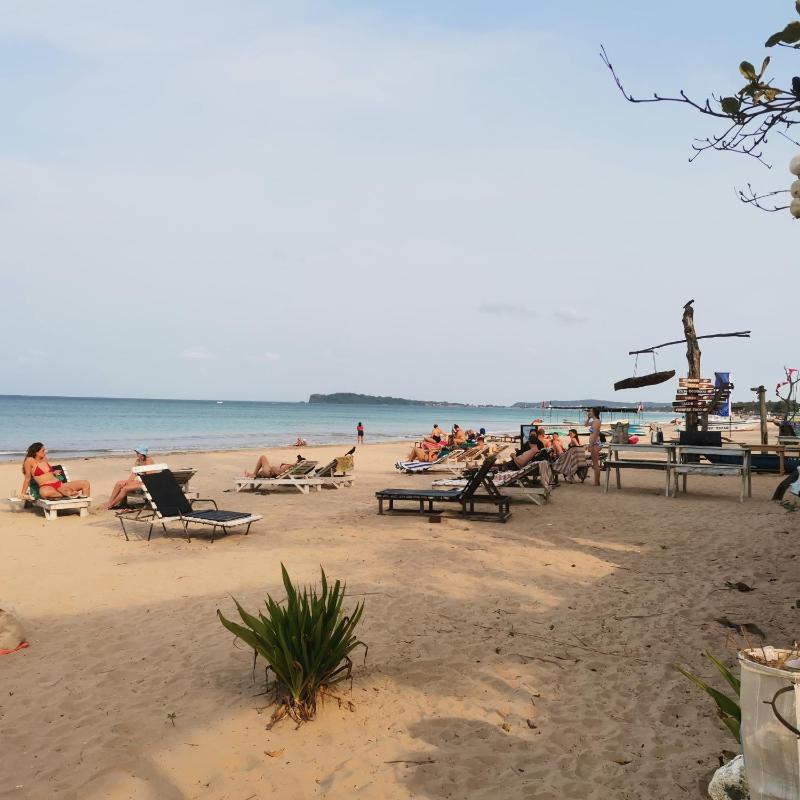 Surf reef beach - image 40