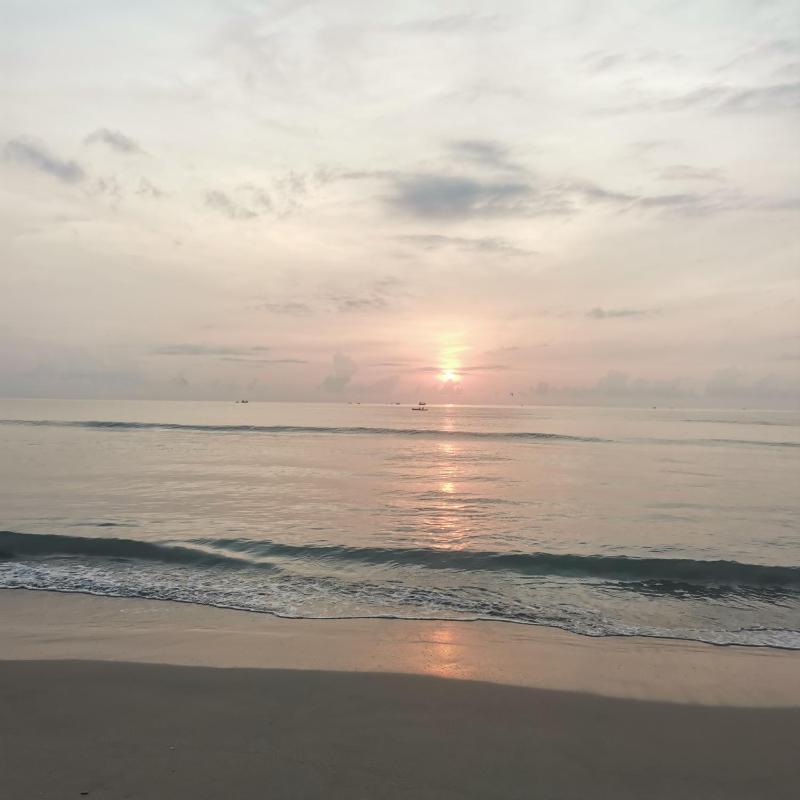 Surf reef beach - image 36
