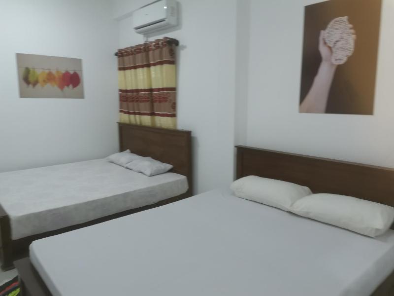 Surf reef beach - image 48