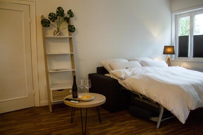 Two-Room Apartment image 3