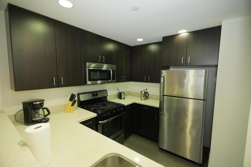 Downtown Cosmopolitan Residences - image 14