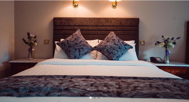 King Room image 1