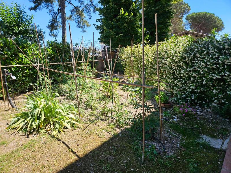 La Casa di Bach - image 15