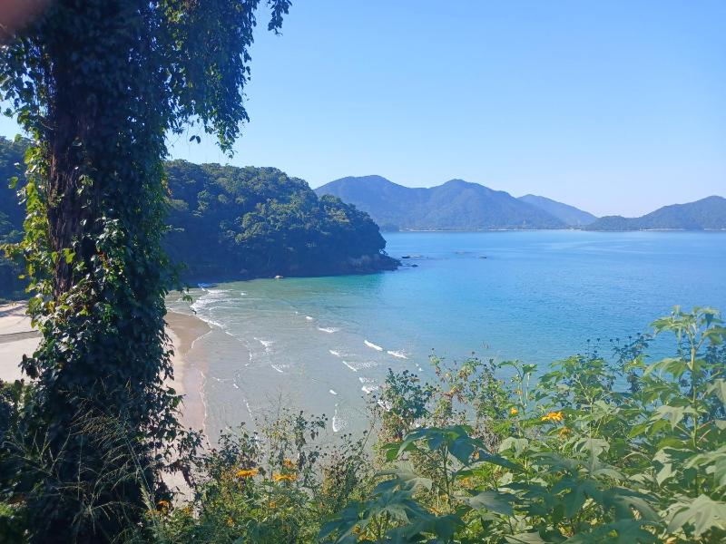 Ubatuba Wild Surf House - image 44