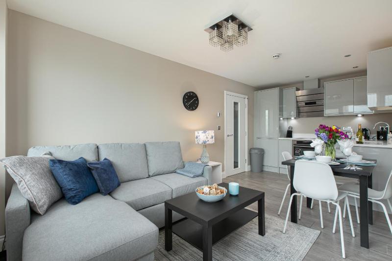 One-Bedroom Apartment image 3