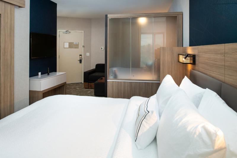 Suite, 1 King, Trundle bed, City view image 1