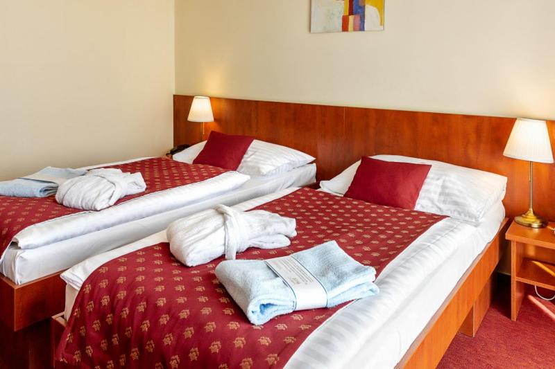 Double or Twin Room with Aquapark access image 4