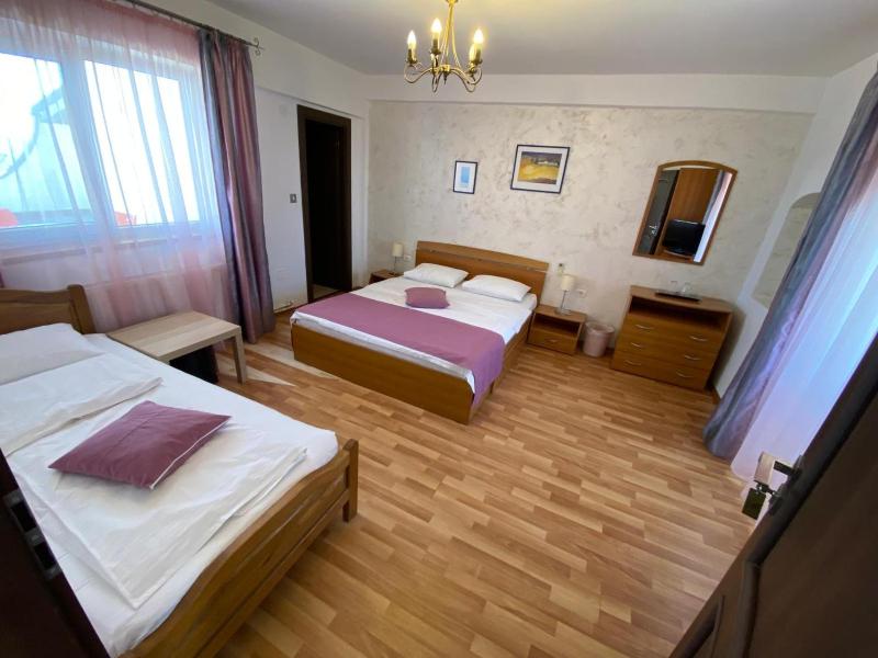 Vila Andreea - image 44