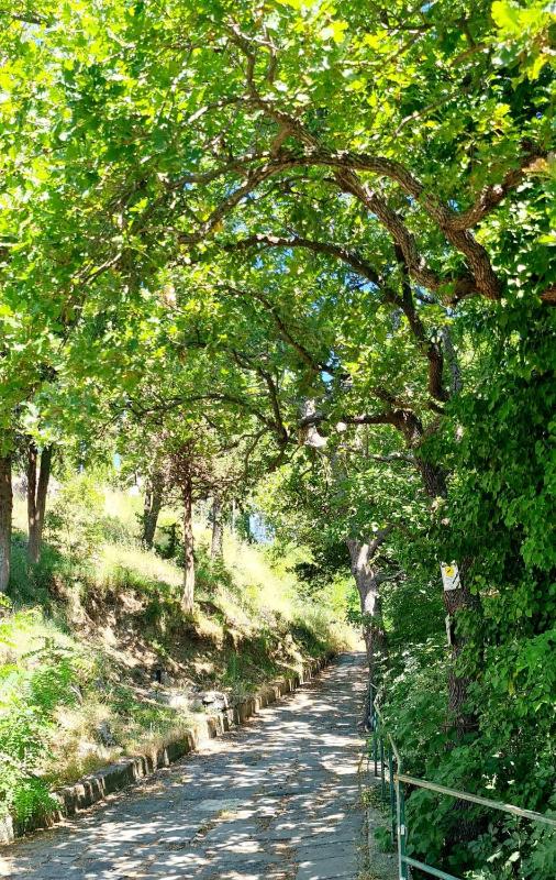 Villa Blu Costiera - image 33