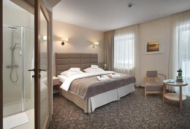 Superior Double or Twin Room image 2