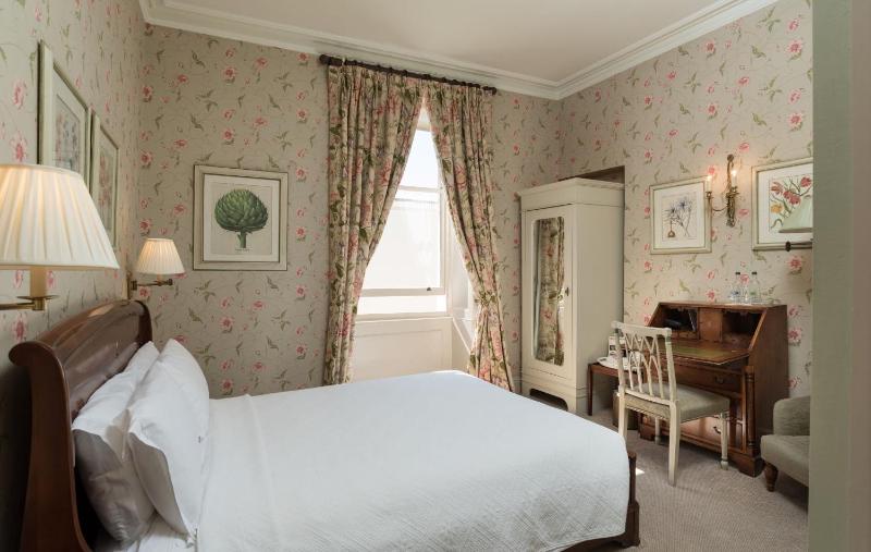 Cosy King image 1