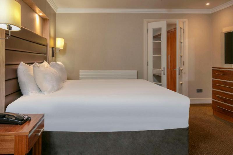 Deluxe King Room image 3
