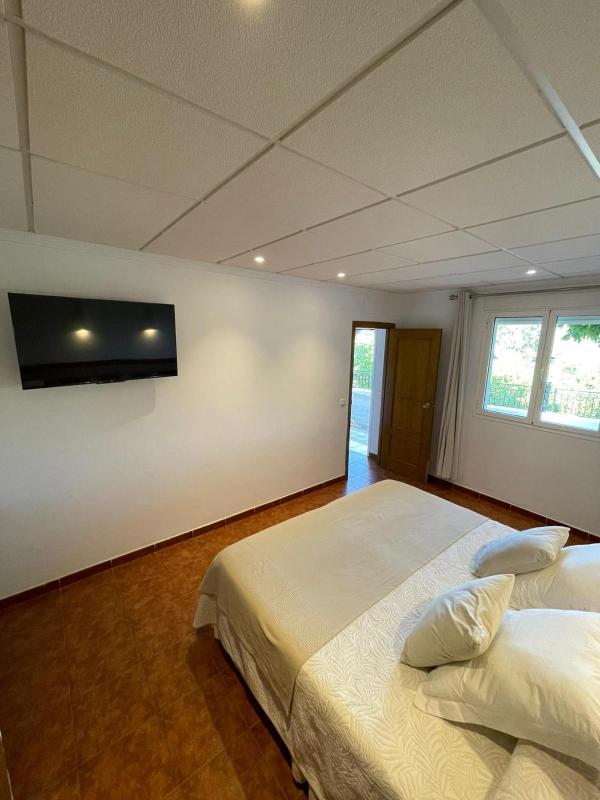 Junior Suite with Garden View image 3