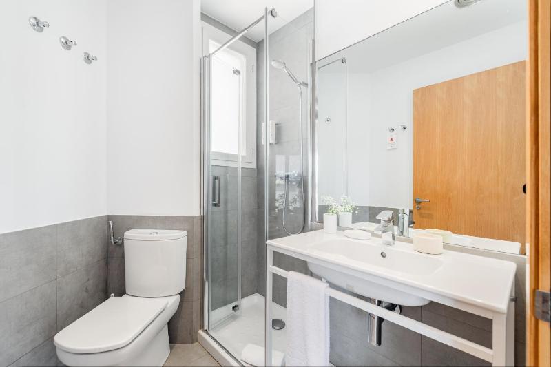 2 Bedroom Penthouse Apartment with terrace image 3