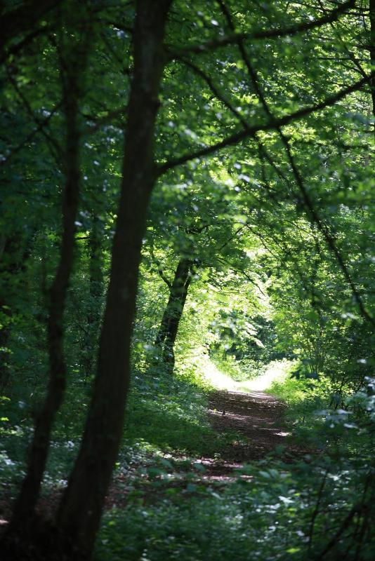 Premium Double or Twin Room image 1