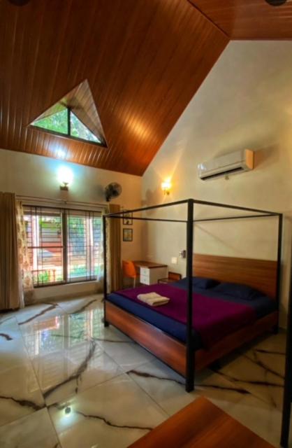 1000 SILVERS -Farm Stay - image 7