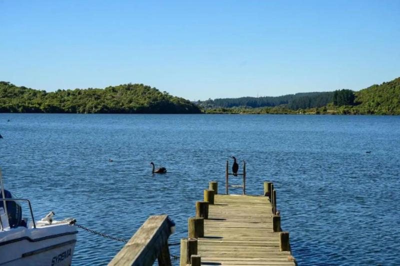 Rotoiti Bay Bliss - image 15