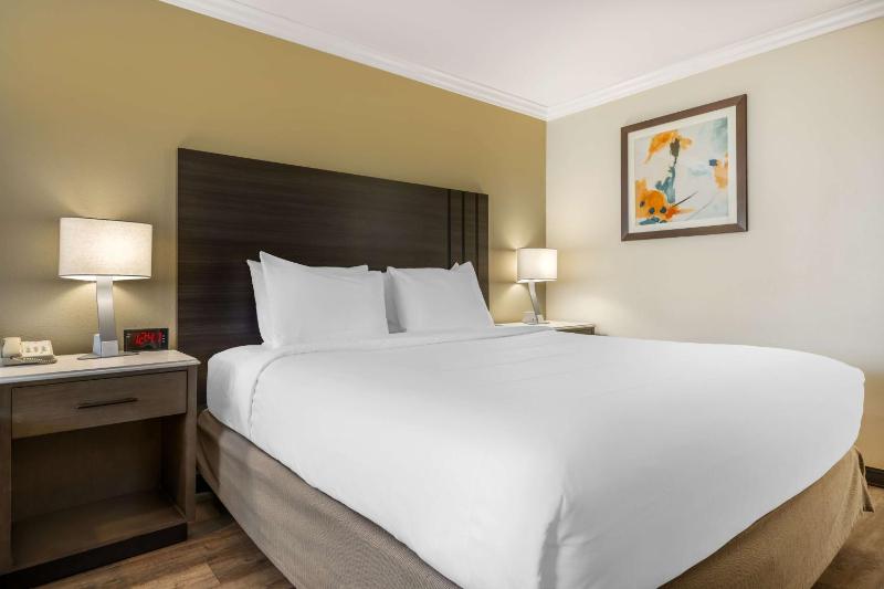 King Room with Walk-in Shower - Disability Access image 3