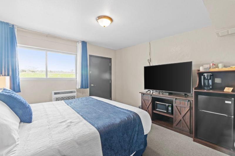 Deluxe King Suite image 3
