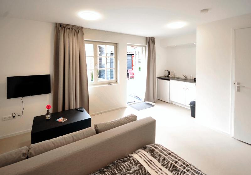 Studio with Terrace image 4