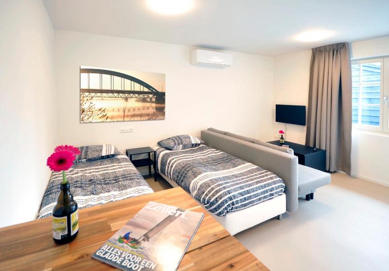 Studio with Terrace image 3