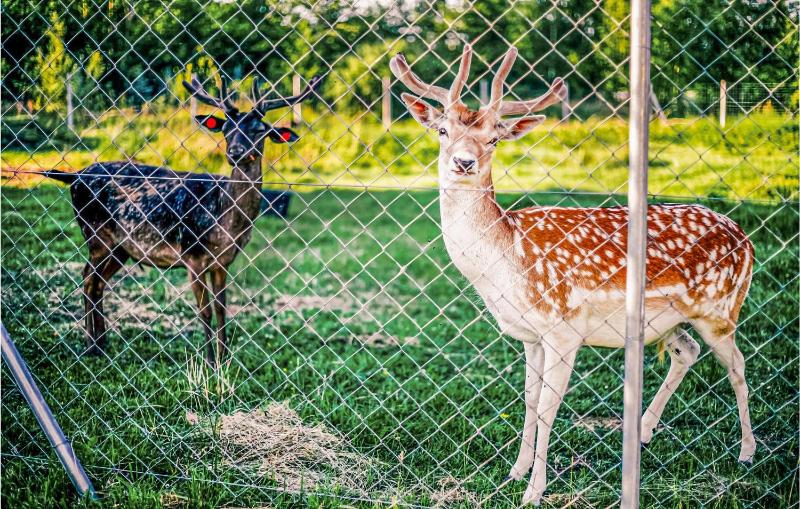 Two-Bedroom Holiday Home image 2
