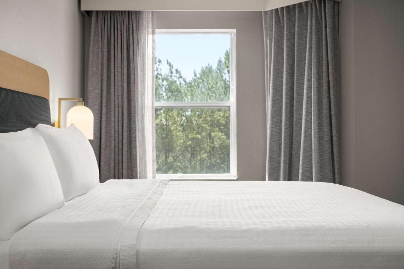 One-Bedroom King Deluxe Suite  image 4